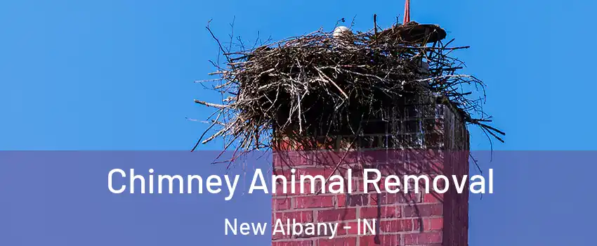  Chimney Animal Removal New Albany - IN