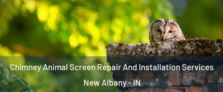  Chimney Animal Screen Repair And Installation Services New Albany - IN