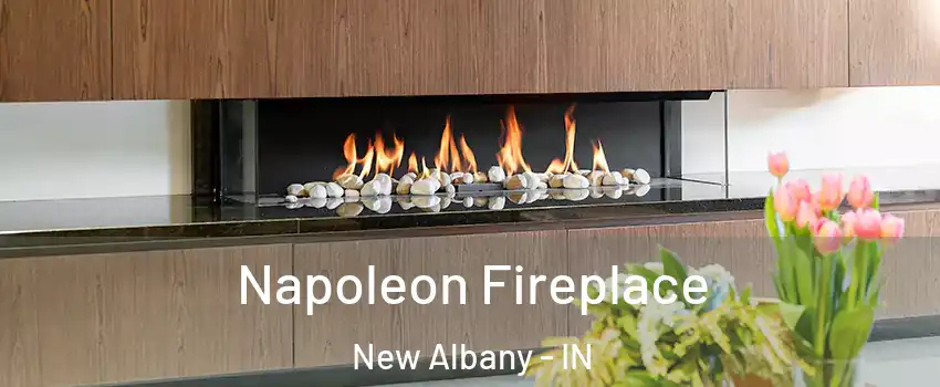  Napoleon Fireplace New Albany - IN